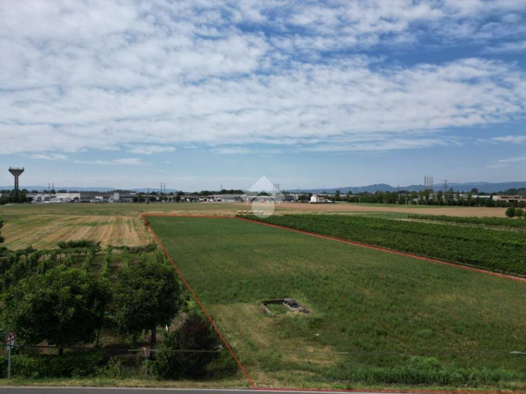 terreno agricolo in vendita a Sandrigo in zona Lupia