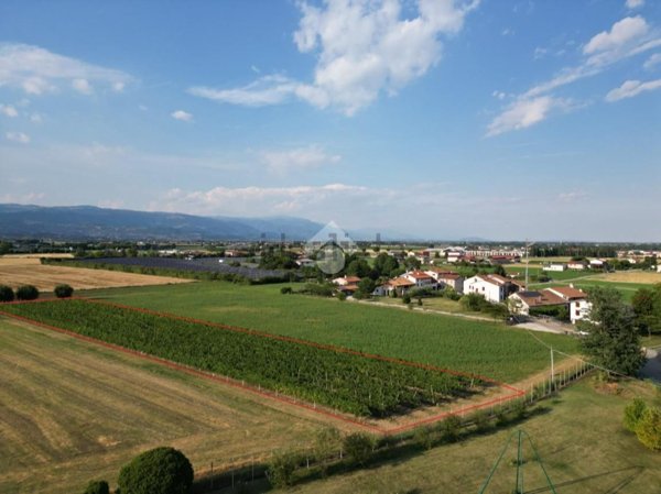 terreno agricolo in vendita a Sandrigo