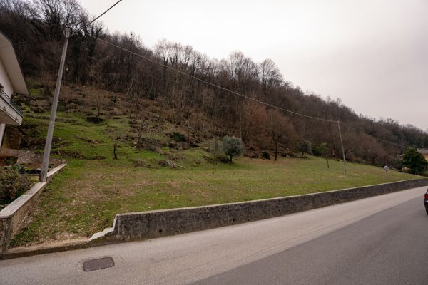 terreno edificabile in vendita a San Pietro Mussolino