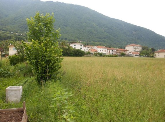 terreno agricolo in vendita a Santorso