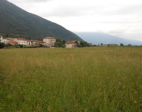 terreno agricolo in vendita a Santorso