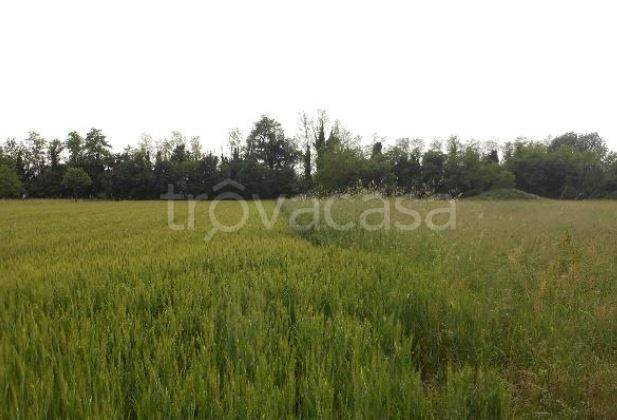 terreno agricolo in vendita a Santorso