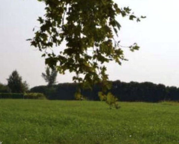 terreno agricolo in vendita a Sarcedo