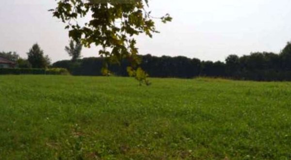terreno agricolo in vendita a Sarcedo