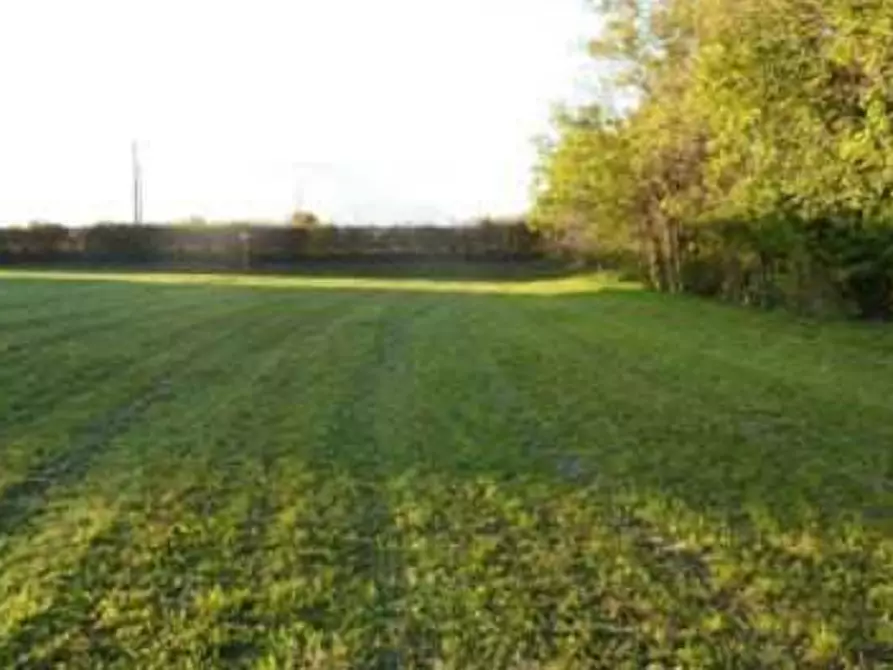 terreno agricolo in vendita a Sarcedo