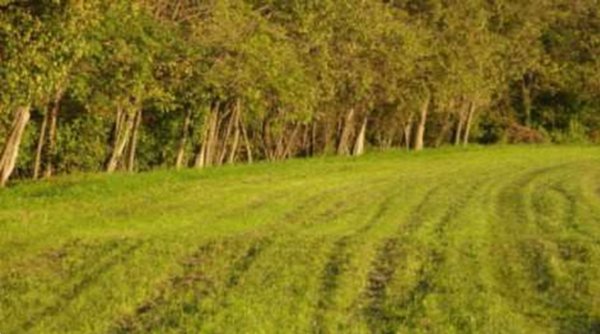terreno agricolo in vendita a Sarcedo
