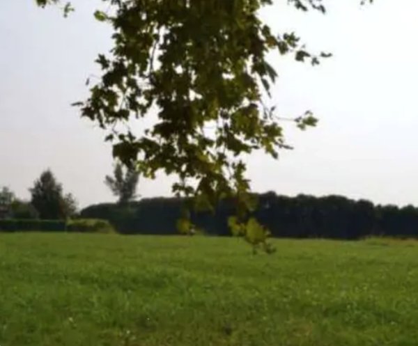 terreno agricolo in vendita a Sarcedo