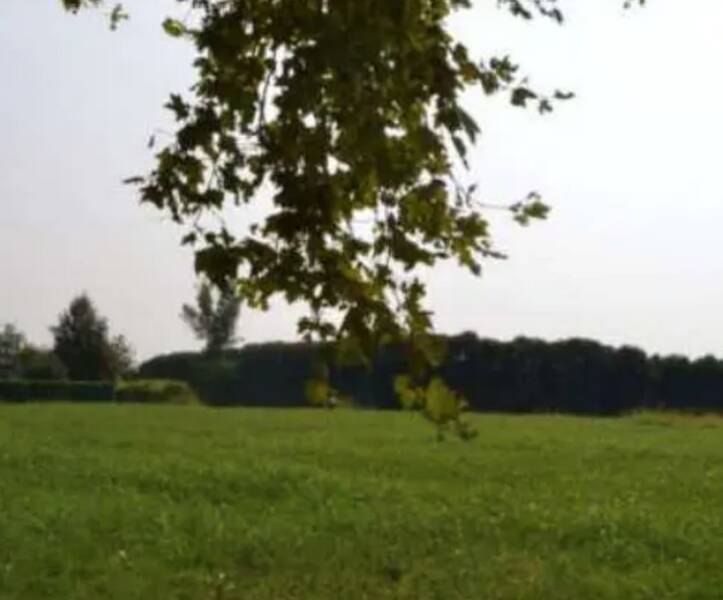 terreno agricolo in vendita a Sarcedo