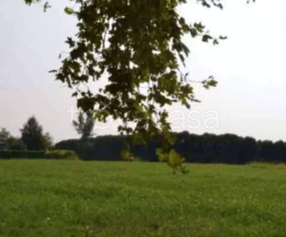 terreno agricolo in vendita a Sarcedo