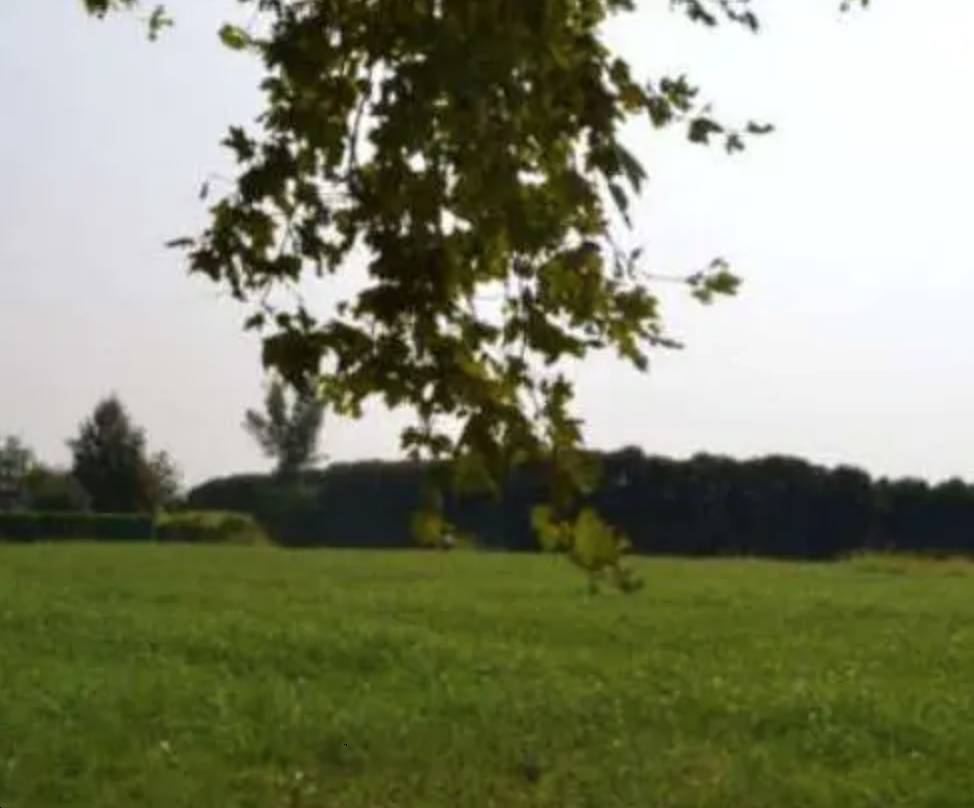 terreno agricolo in vendita a Sarcedo