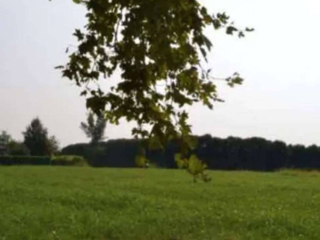 terreno agricolo in vendita a Sarcedo
