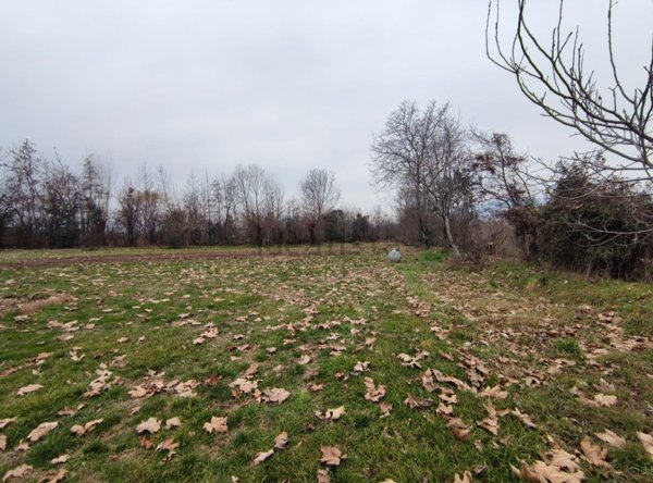 casa indipendente in vendita a Sarcedo