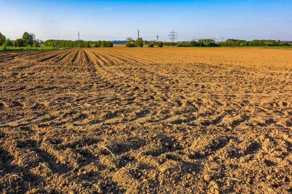 terreno agricolo in vendita a Sarcedo