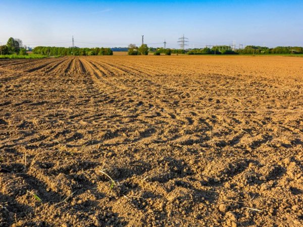 terreno agricolo in vendita a Sarcedo