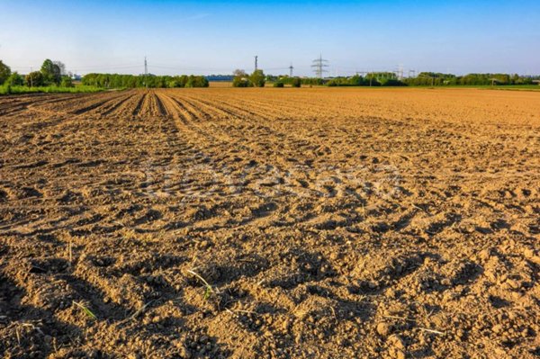 terreno agricolo in vendita a Sarcedo