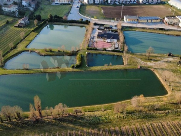 casa indipendente in vendita a Sarego