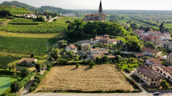 terreno agricolo in vendita a Sarego