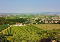 casa indipendente in vendita a Sarego
