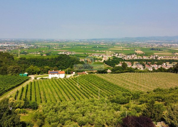 casa indipendente in vendita a Sarego