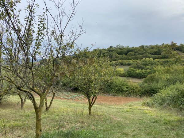 casale in vendita a Sarego in zona Meledo