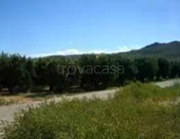 appartamento in vendita a Sarego