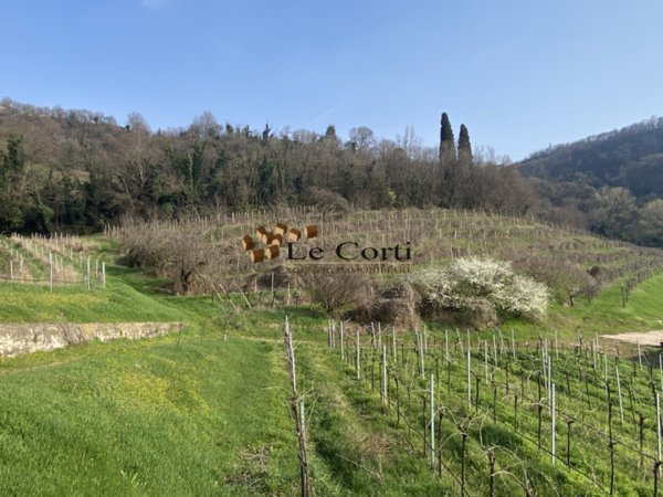 terreno agricolo in vendita a Sarego