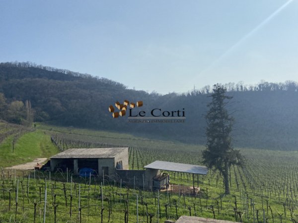 terreno in vendita a Sarego