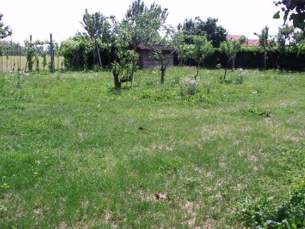 negozio in vendita a Schiavon