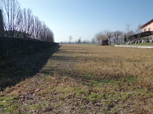 terreno edificabile in vendita a Schiavon
