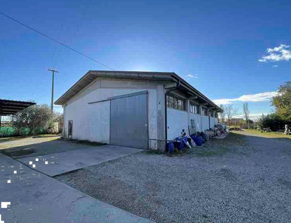 ufficio in vendita a Schiavon