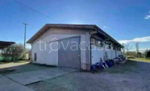 appartamento in vendita a Schiavon