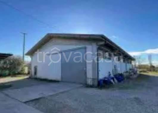 negozio in vendita a Schiavon