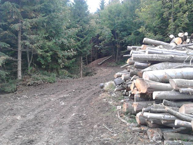 terreno agricolo in vendita a Schio