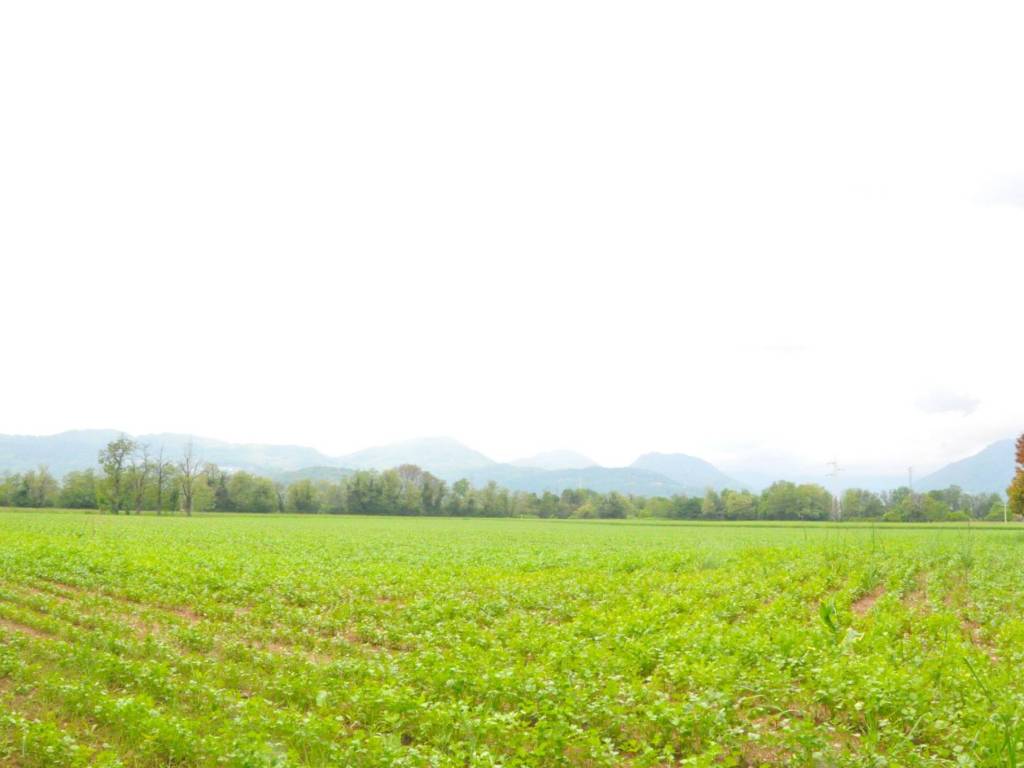 terreno agricolo in vendita a Schio