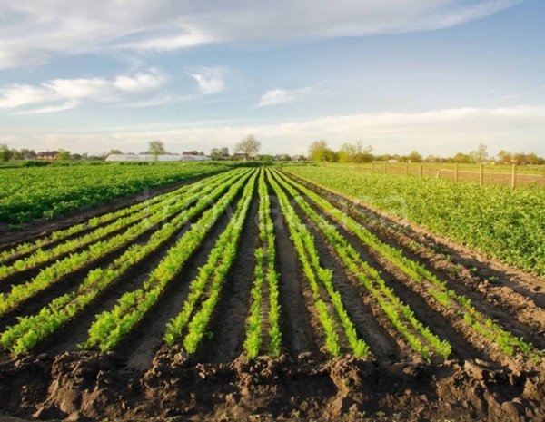 terreno agricolo in vendita a Schio