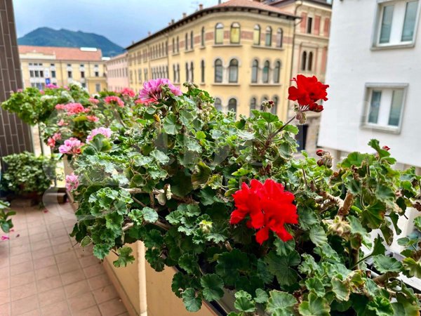 appartamento in vendita a Schio