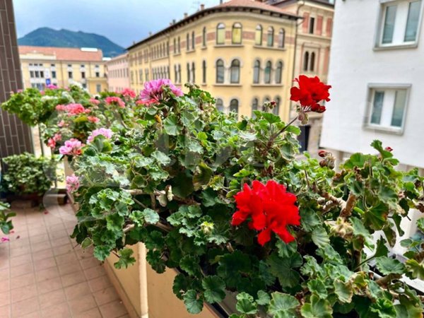 appartamento in vendita a Schio