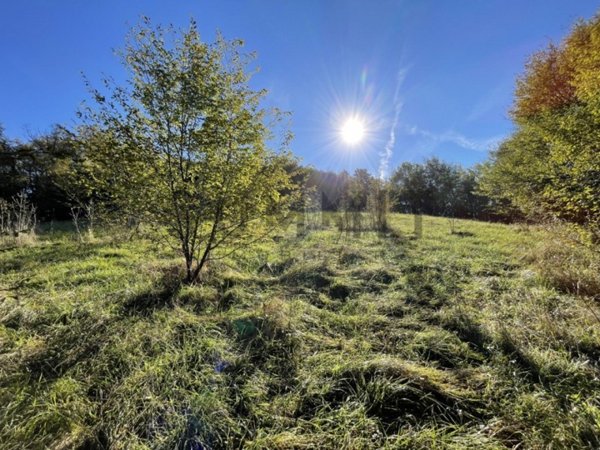 terreno agricolo in vendita a Schio in zona Piane