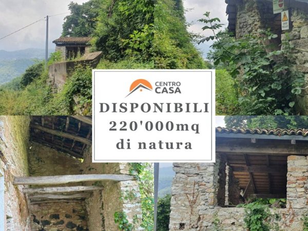 terreno agricolo in vendita a Schio in zona Magrè