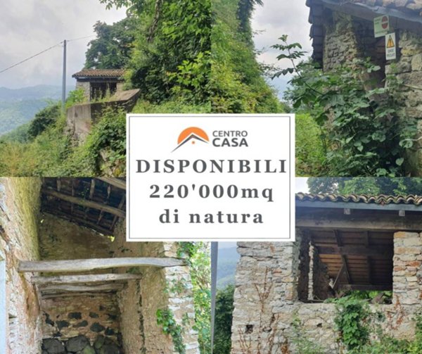 terreno agricolo in vendita a Schio in zona Magrè