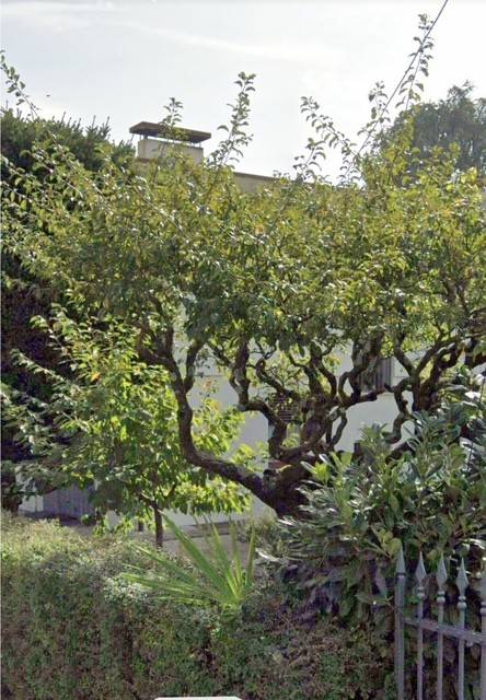 casa indipendente in vendita a Schio in zona Magrè