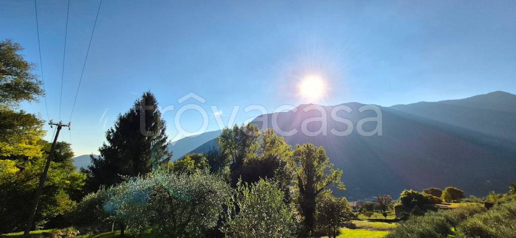 terreno agricolo in vendita a Solagna in zona Bresagge