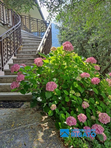 casa indipendente in vendita a Solagna