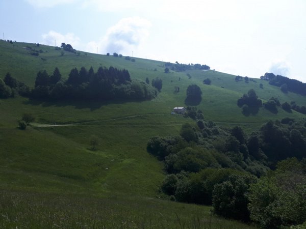ufficio in vendita a Solagna in zona Bresagge