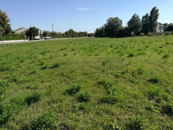 terreno agricolo in vendita a Sossano