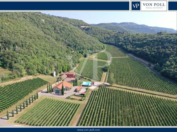 terreno agricolo in vendita a Sossano