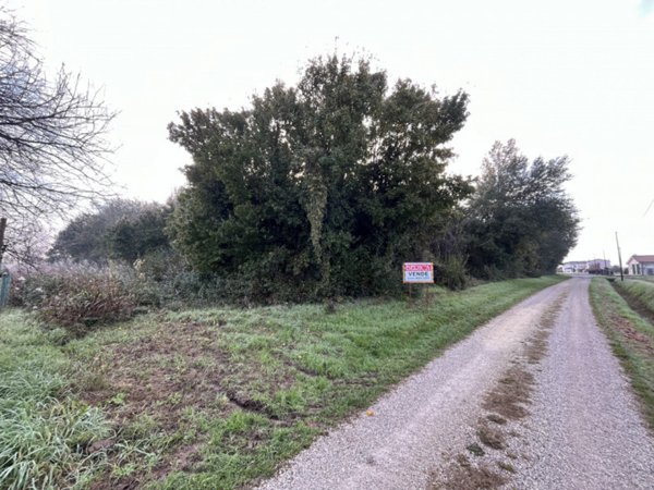 terreno agricolo in vendita a Sossano