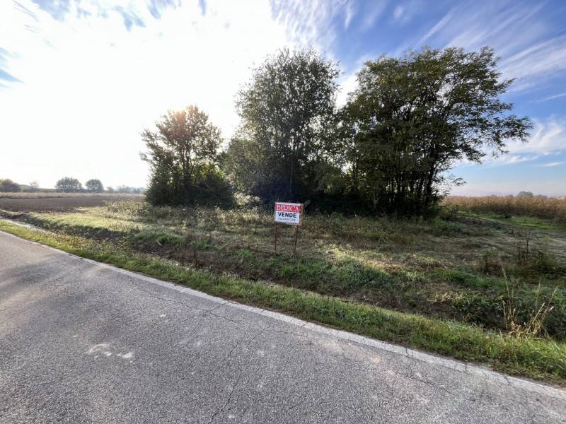 terreno agricolo in vendita a Sossano