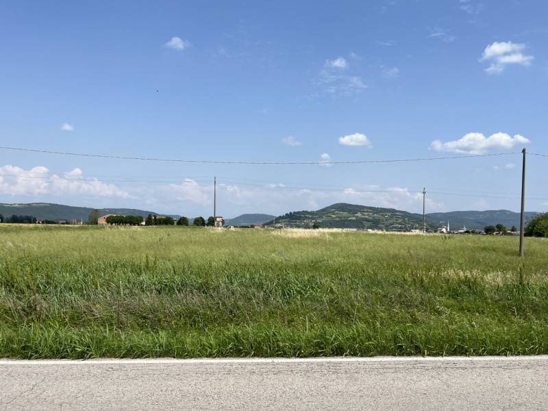 terreno edificabile in vendita a Sossano in zona Colloredo