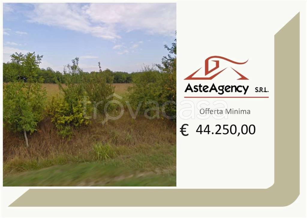 terreno agricolo in vendita a Sossano in zona Colloredo